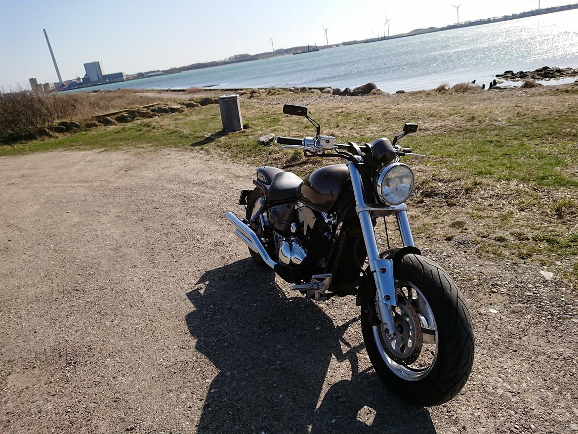 Suzuki VZ800 Maraduer billede 10