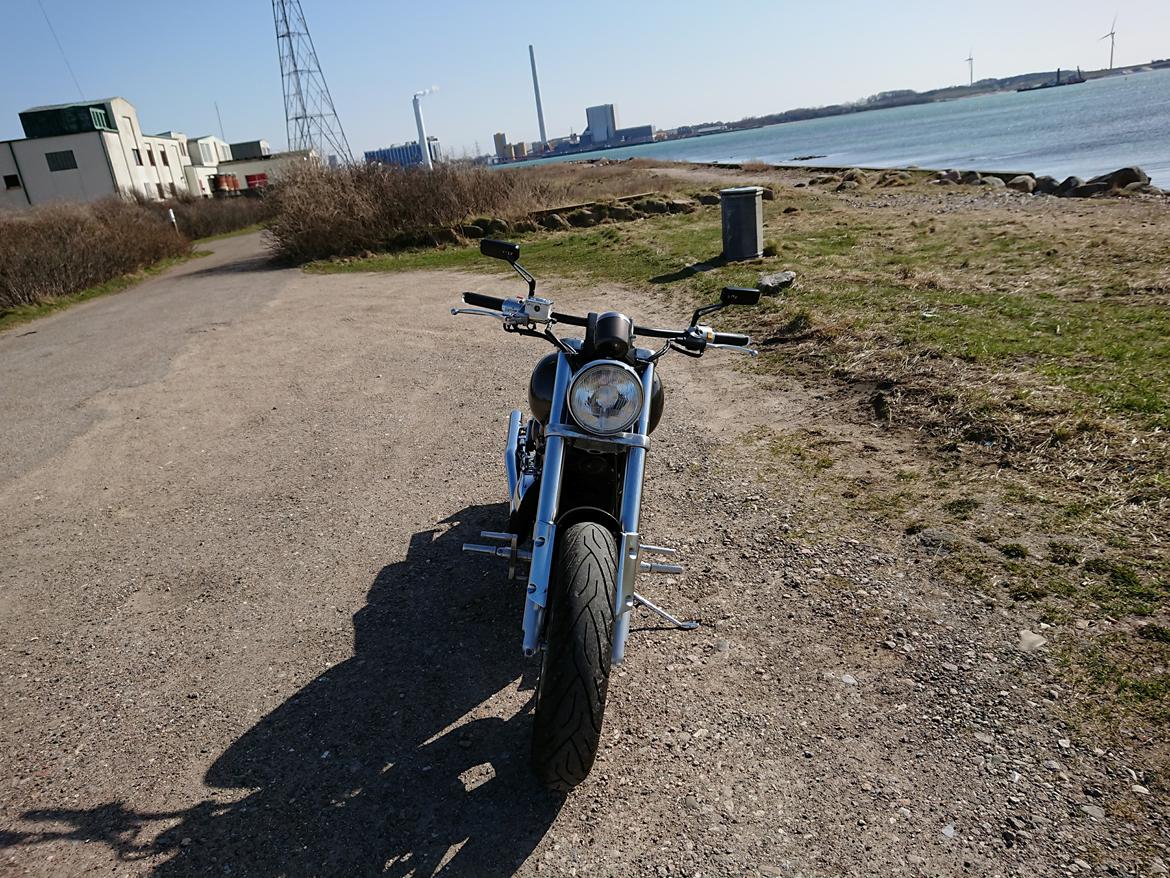 Suzuki VZ800 Maraduer billede 13