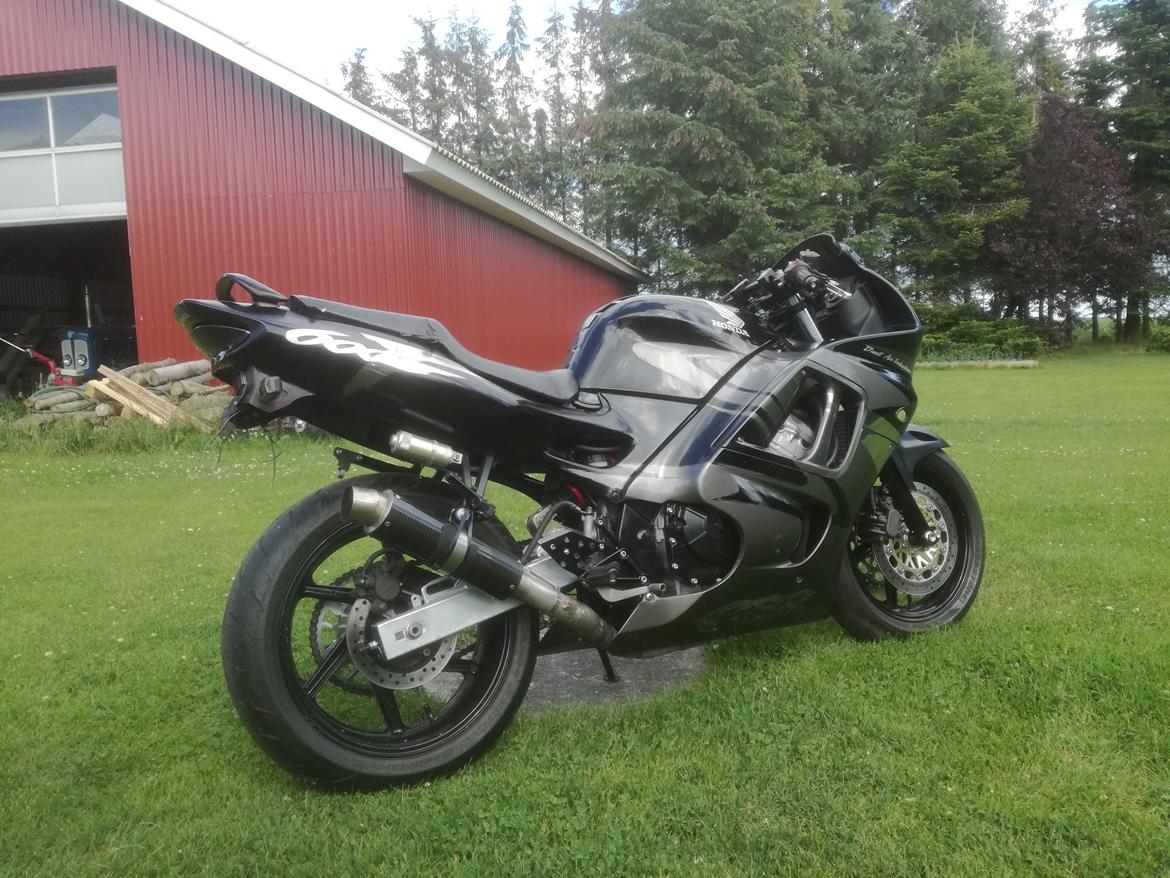 Honda Cbr 600 f3 billede 12