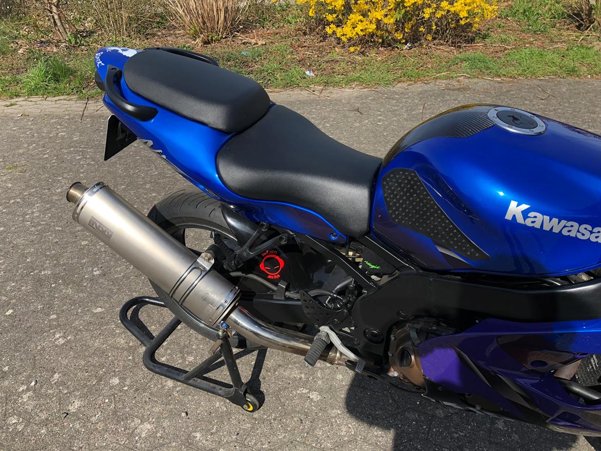 Kawasaki Zx9r (SOLGT) - Sommer 2018 billede 22