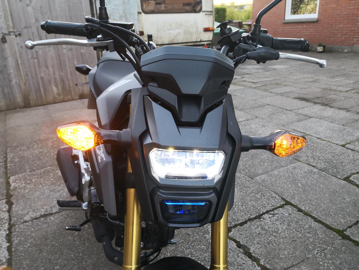 Honda MSX 125 aka GROM Solgt! billede 15