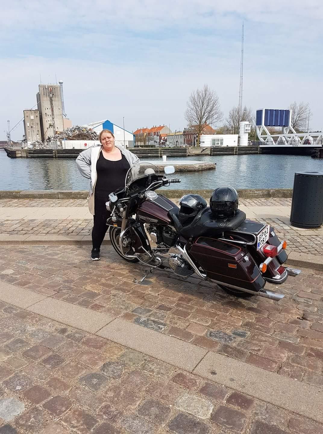 Harley Davidson FLT billede 14