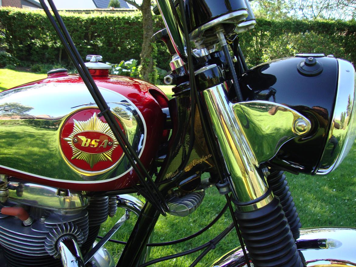 BSA Lightning Rocket USA model billede 5