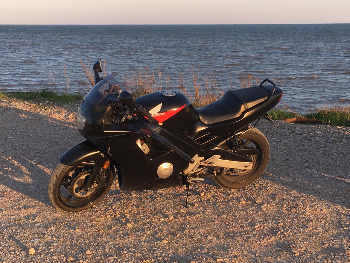 Honda Cbr 600 F2 billede 16