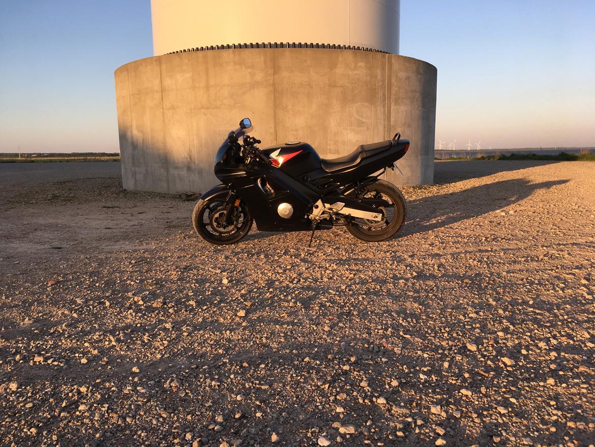 Honda Cbr 600 F2 billede 18