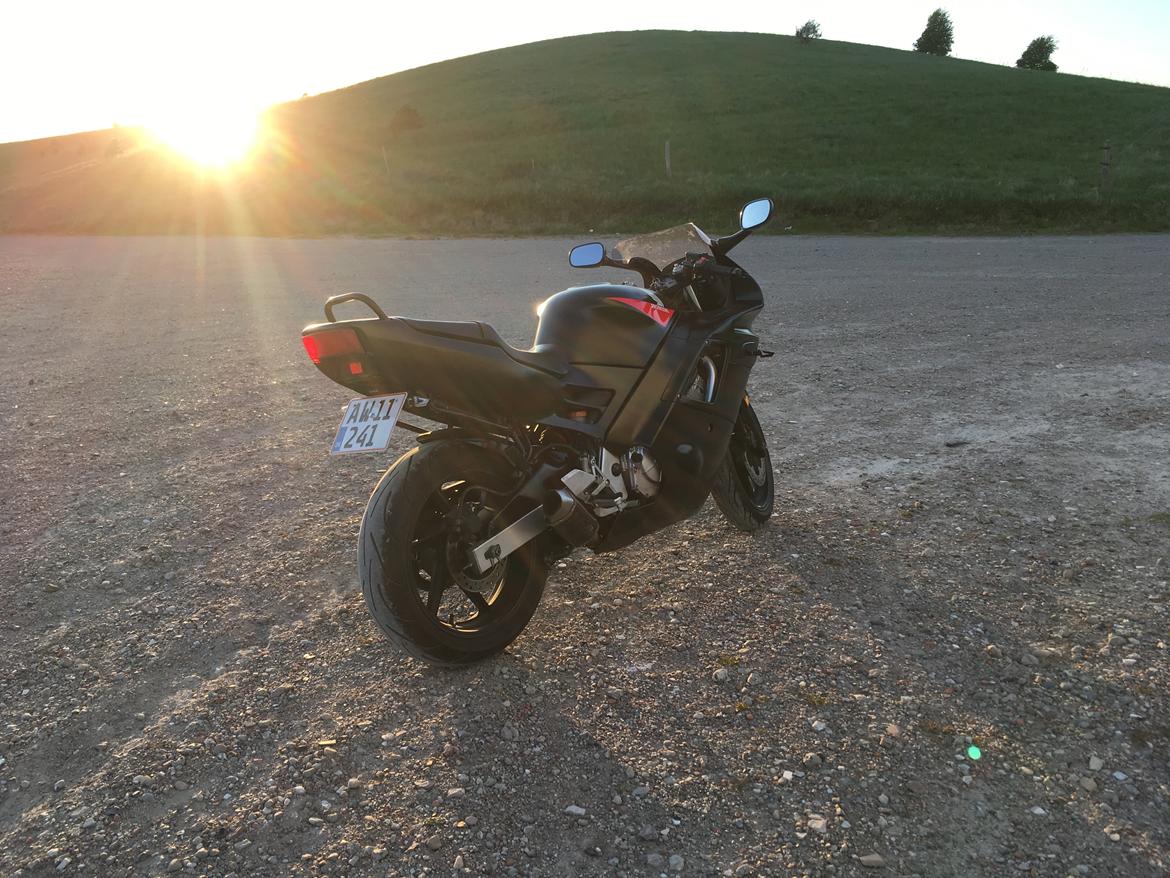 Honda Cbr 600 F2 billede 20