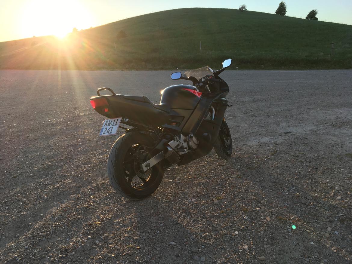 Honda Cbr 600 F2 billede 21