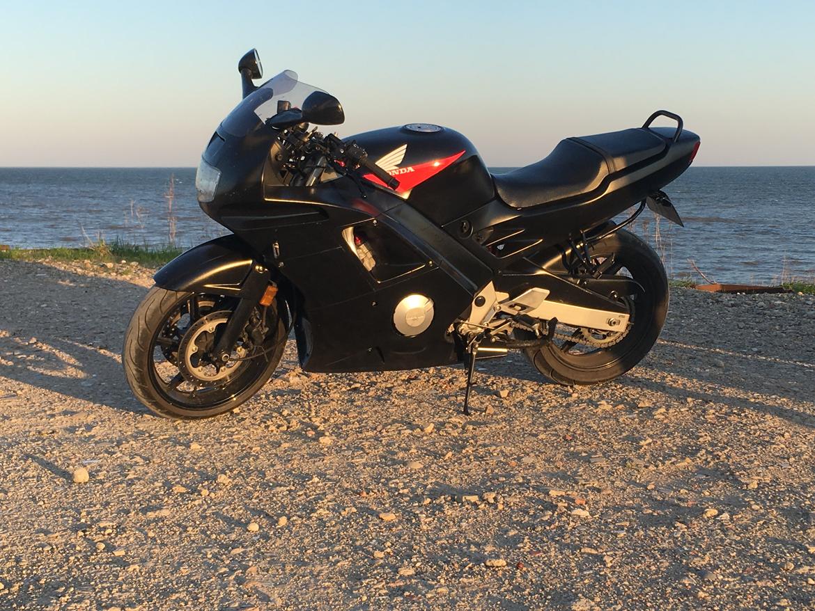 Honda Cbr 600 F2 billede 17