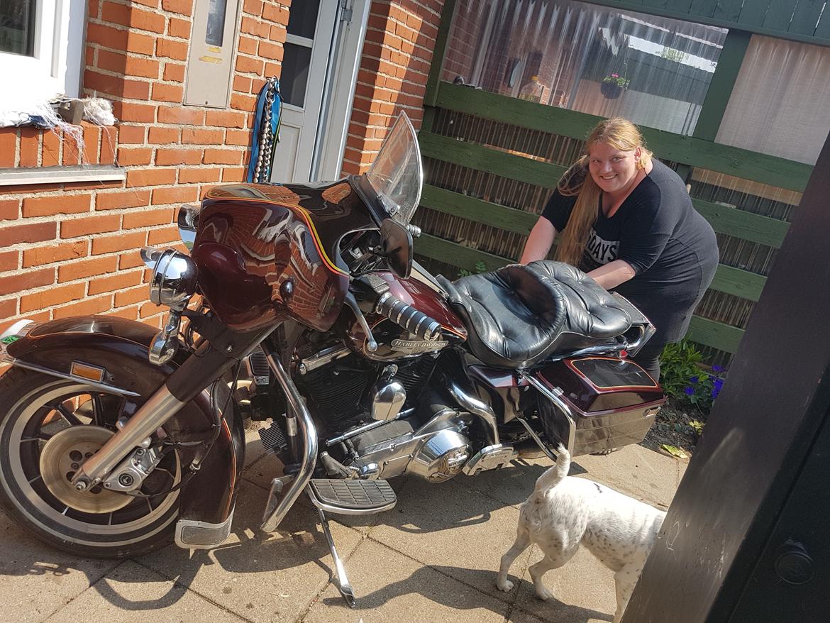 Harley Davidson FLT billede 24