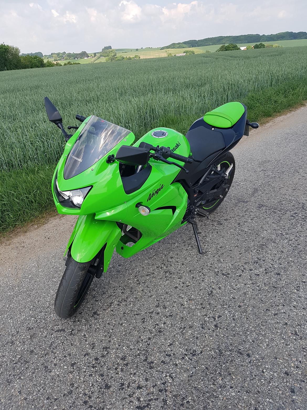 Kawasaki Ninja 250r billede 2