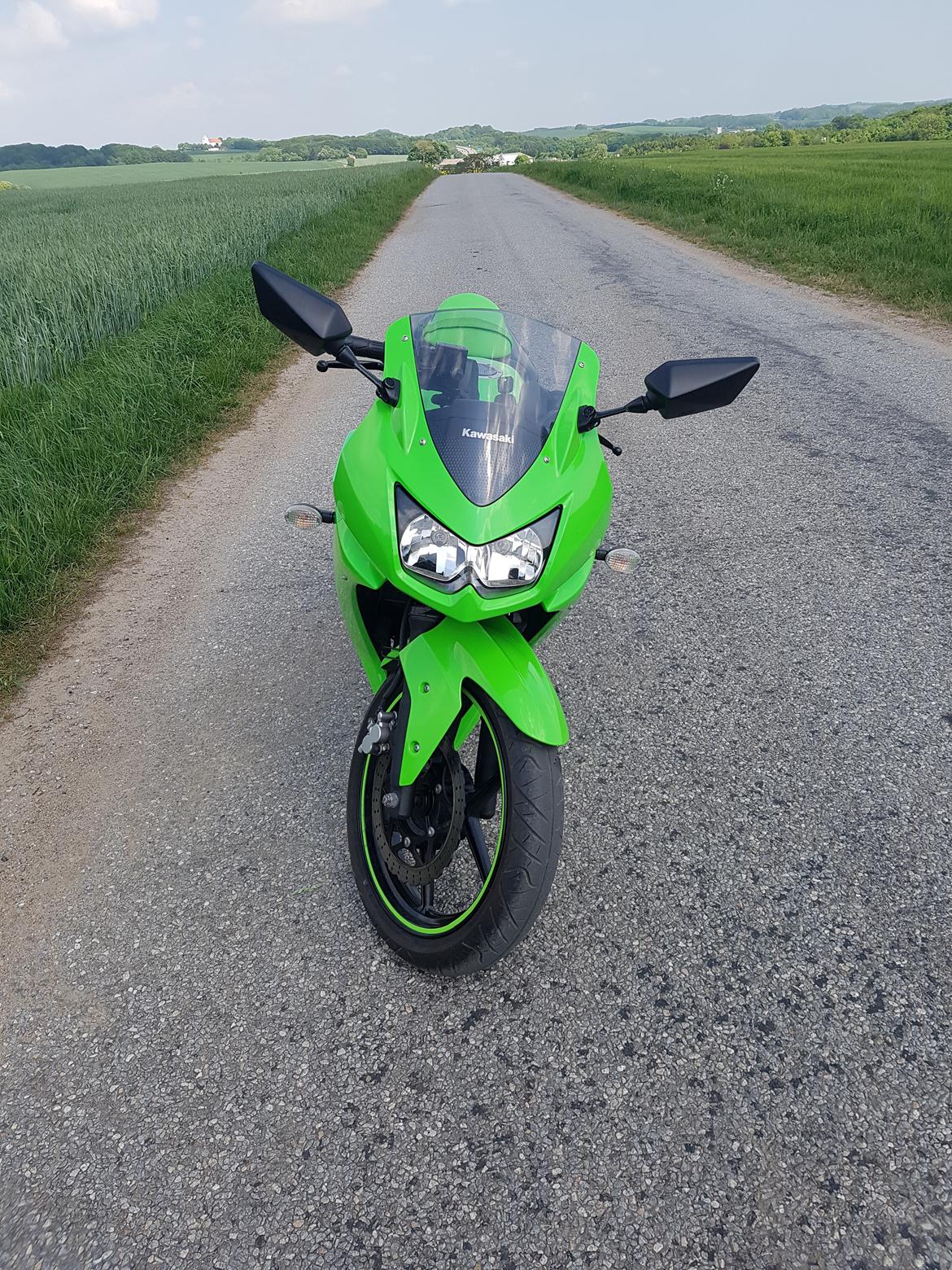 Kawasaki Ninja 250r billede 3