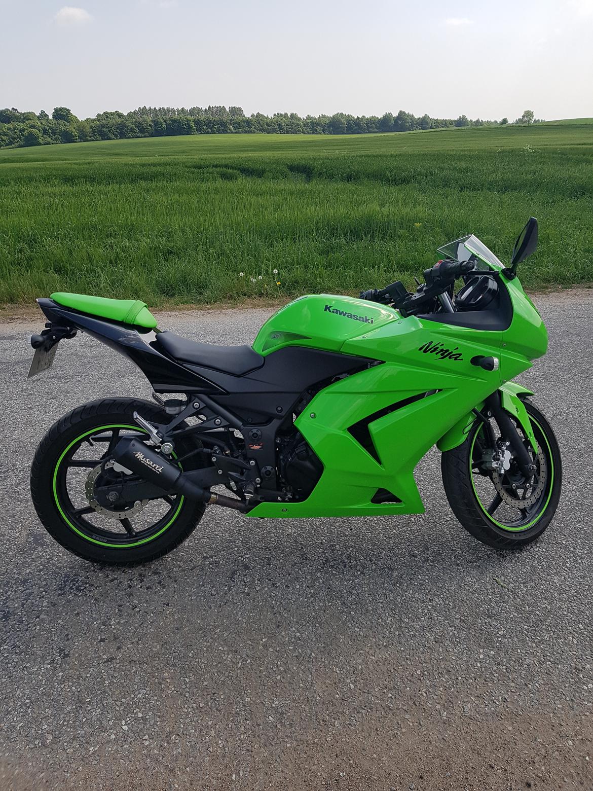 Kawasaki Ninja 250r billede 4