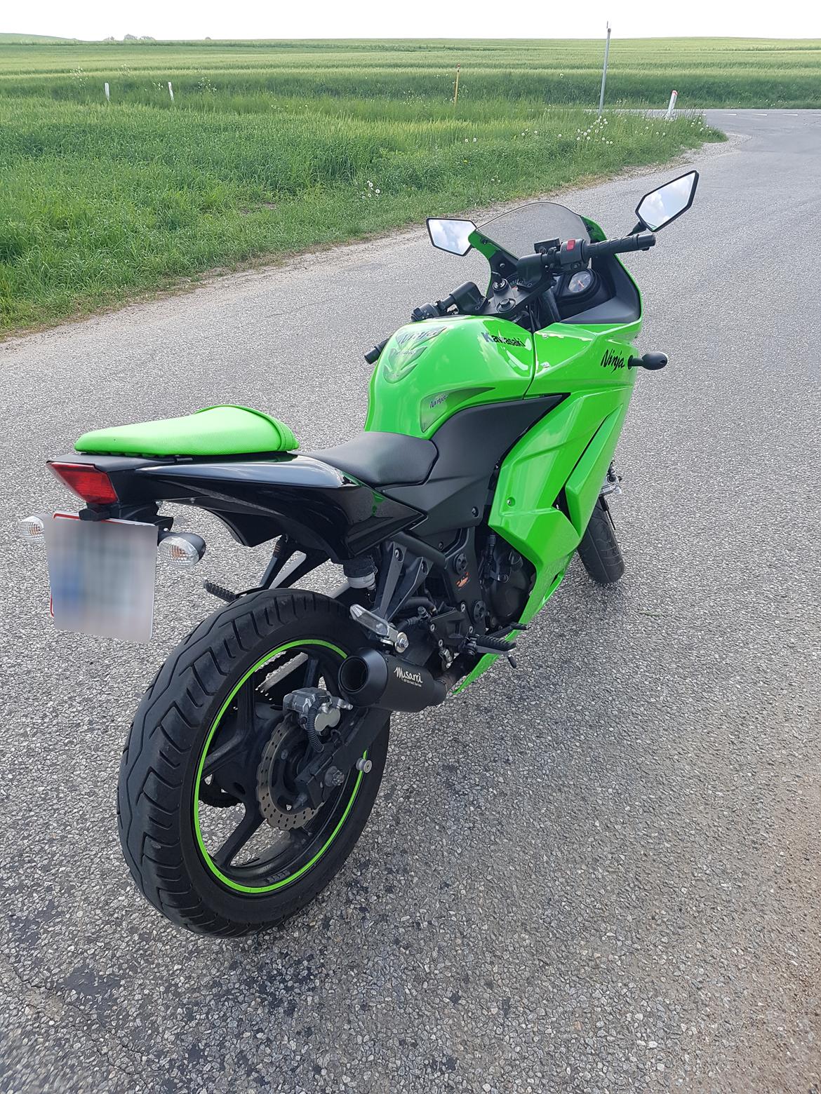 Kawasaki Ninja 250r billede 6