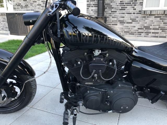 Harley Davidson Custom bygget 883 billede 5
