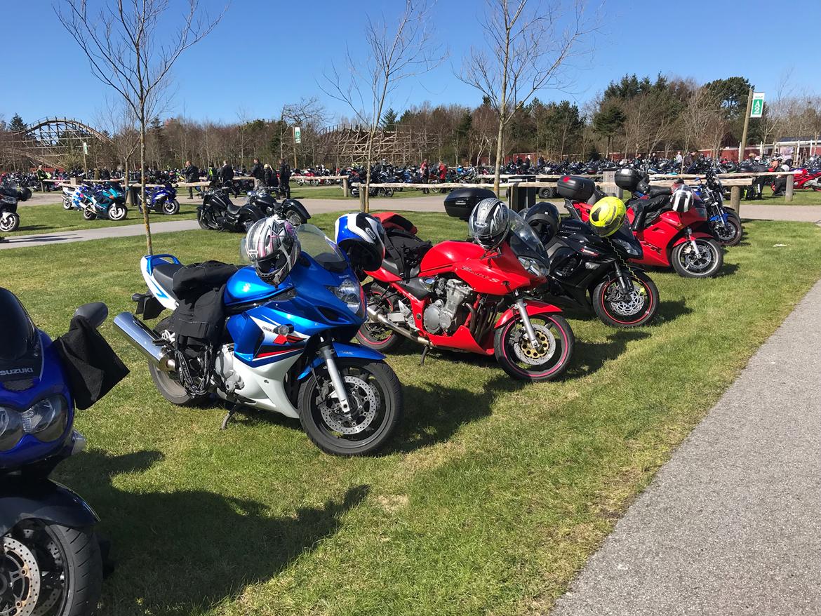 Suzuki GSF 600 F Bandit billede 7