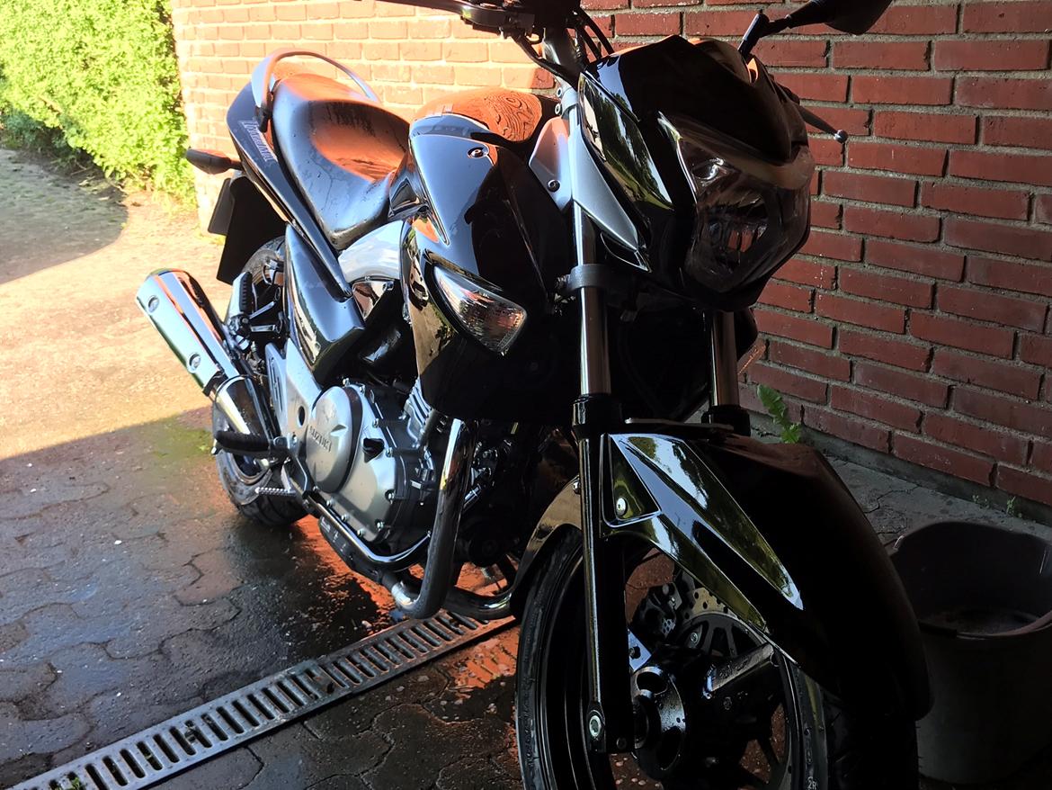 Suzuki GW Inazuma 250 billede 2