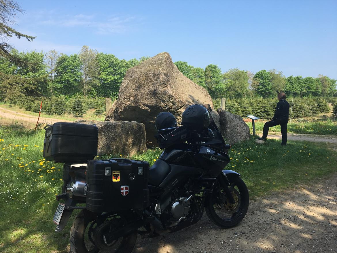 Suzuki DL 650 V Strom billede 9