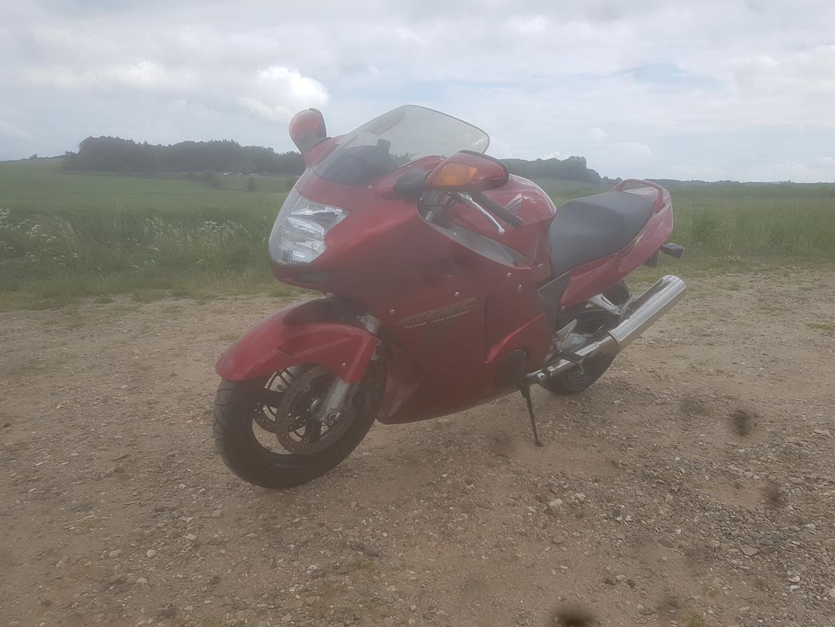 Honda Xx1100 billede 3