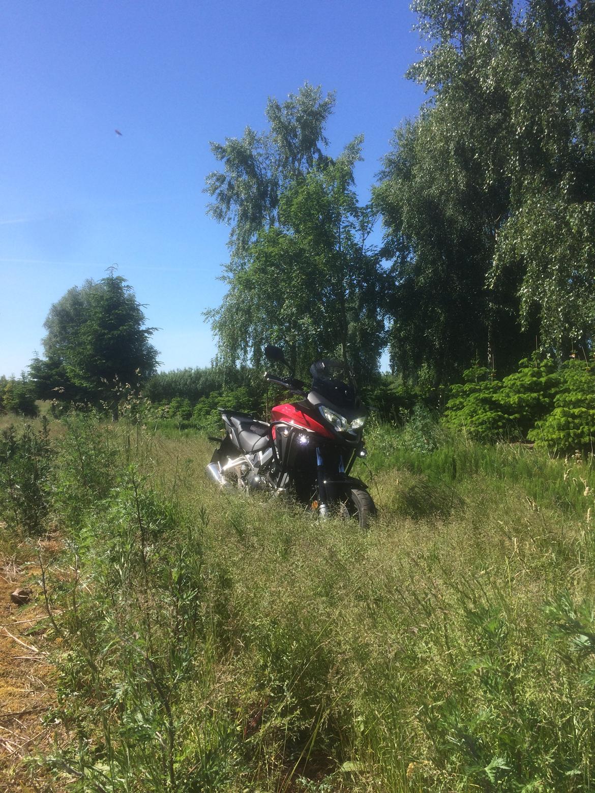 Honda VFR 800 X Crossrunner billede 34