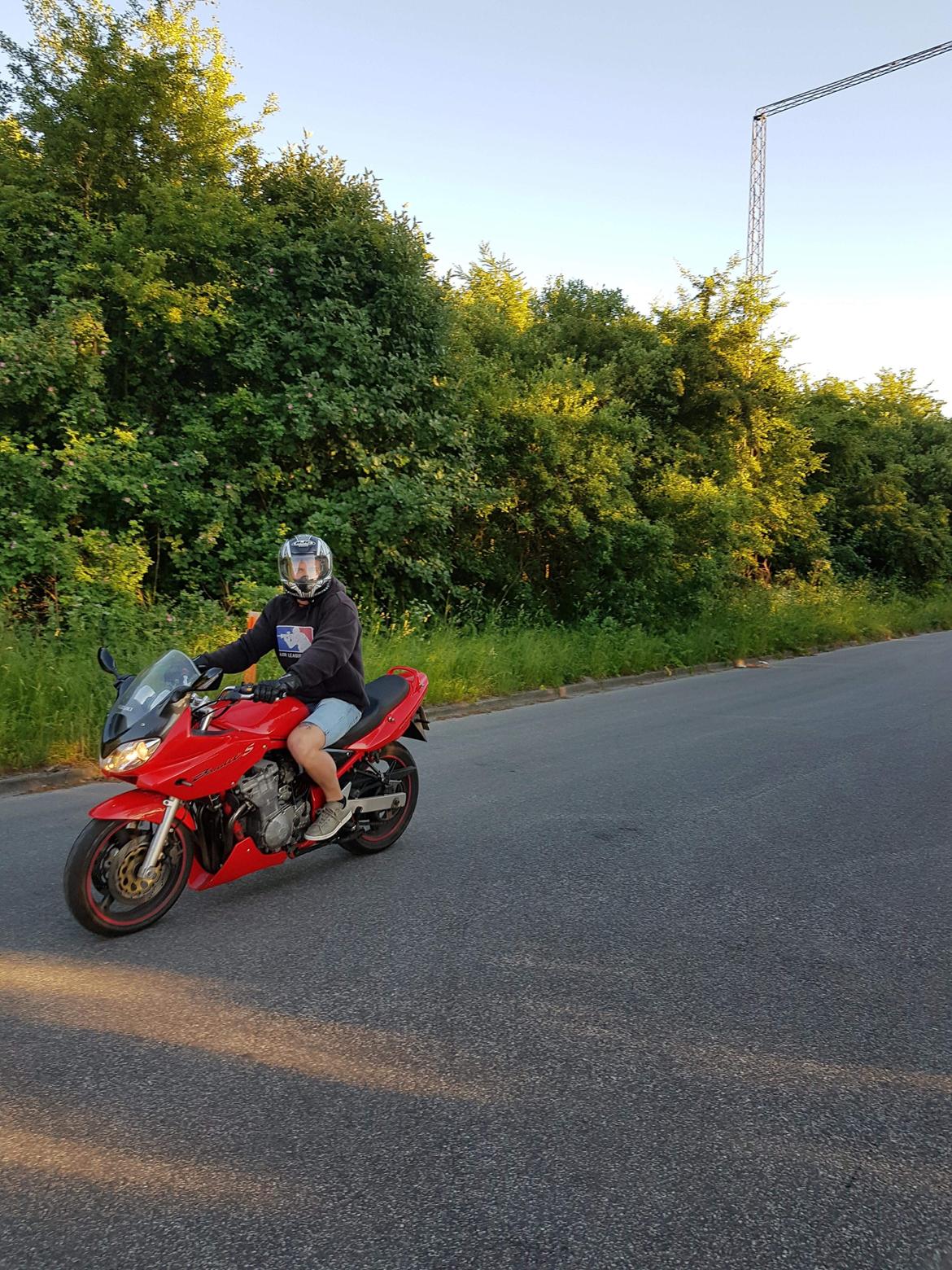 Suzuki GSF 600 F Bandit billede 2