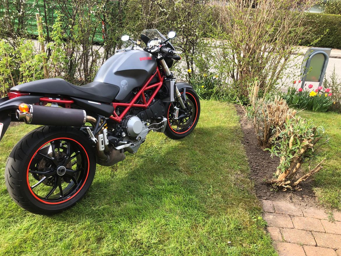 Ducati Monster S4R billede 1