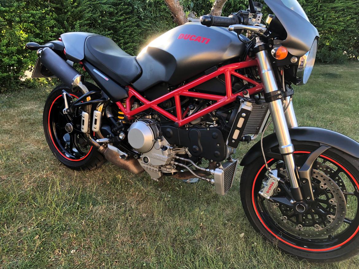 Ducati Monster S4R billede 8