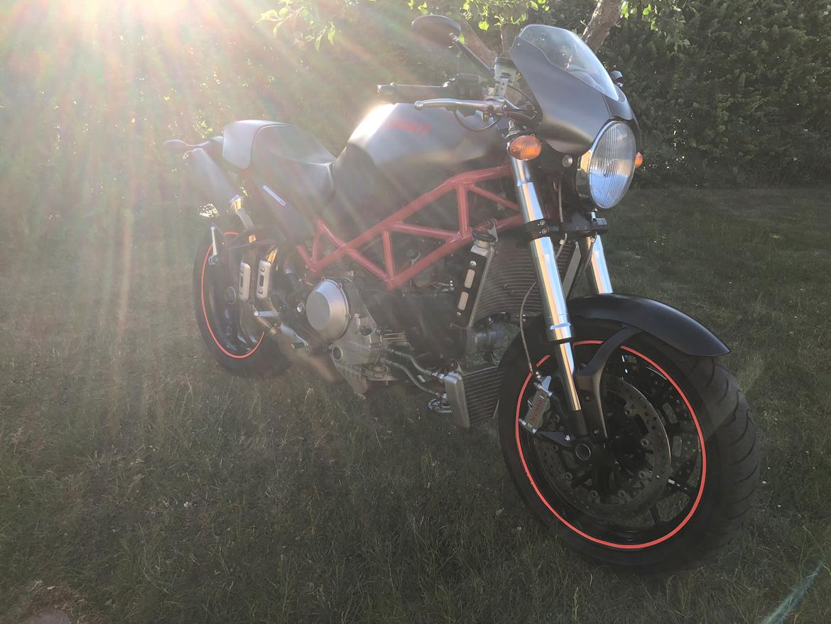 Ducati Monster S4R billede 9
