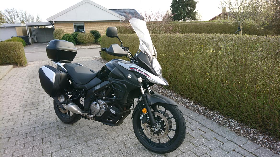 Suzuki Dl650 V-Strom  billede 2