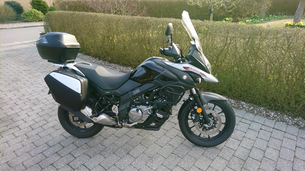 Suzuki Dl650 V-Strom  billede 1