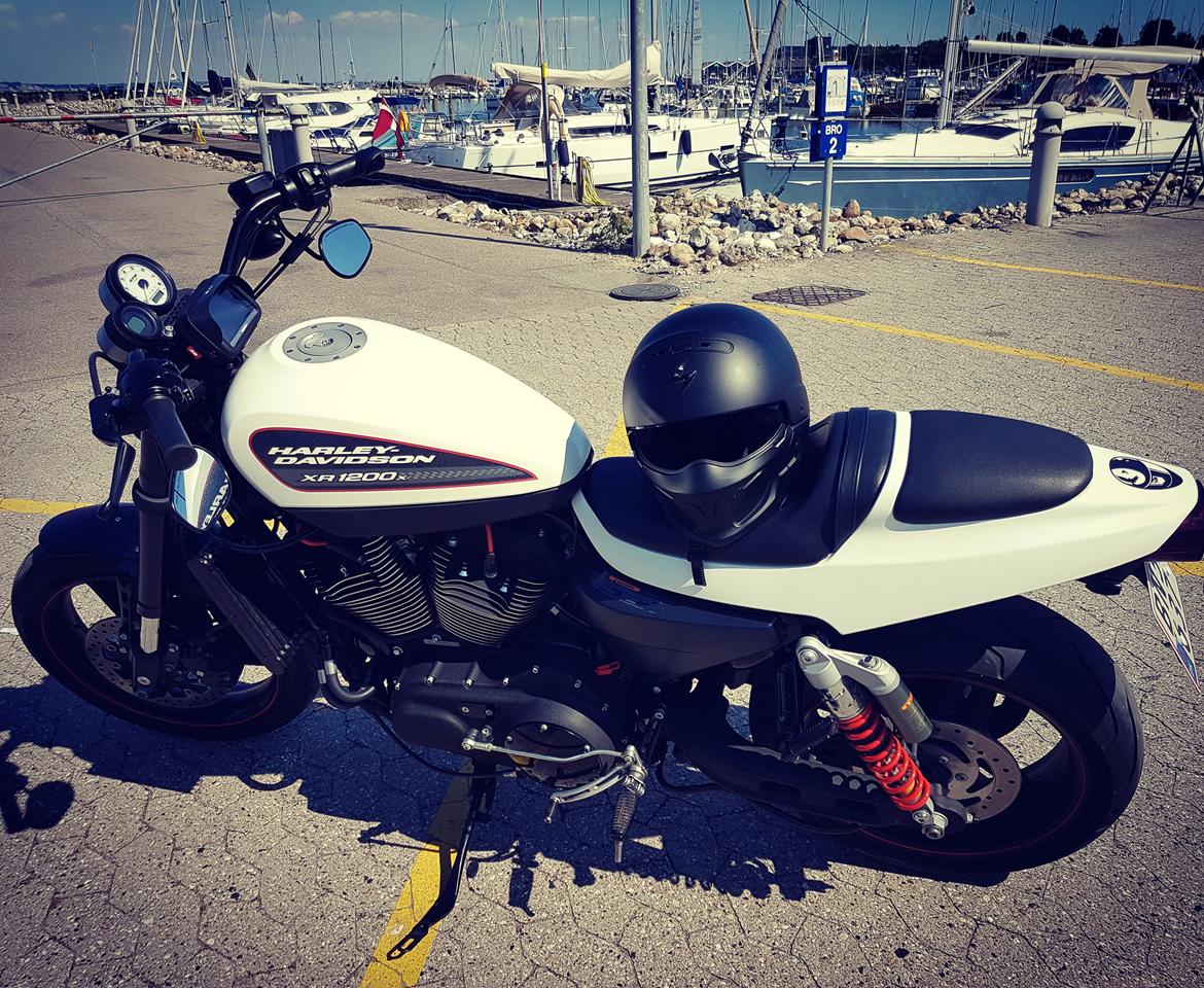 Suzuki c800 billede 15