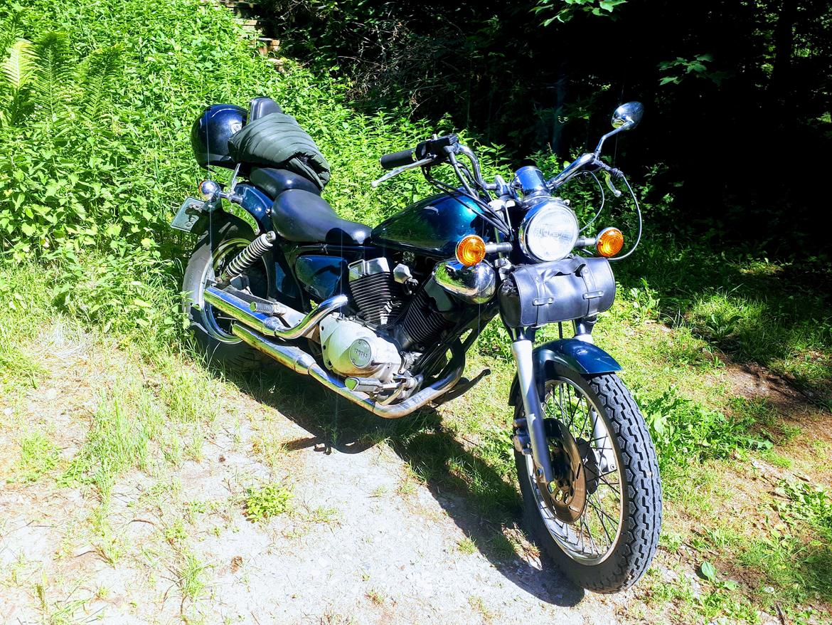 Yamaha XV 250 Virago  billede 16