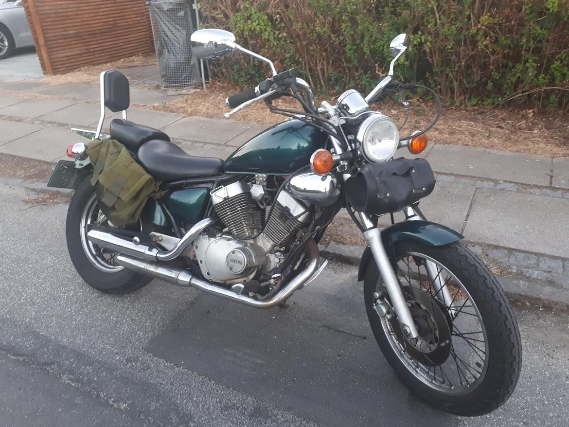 Yamaha XV 250 Virago  billede 12