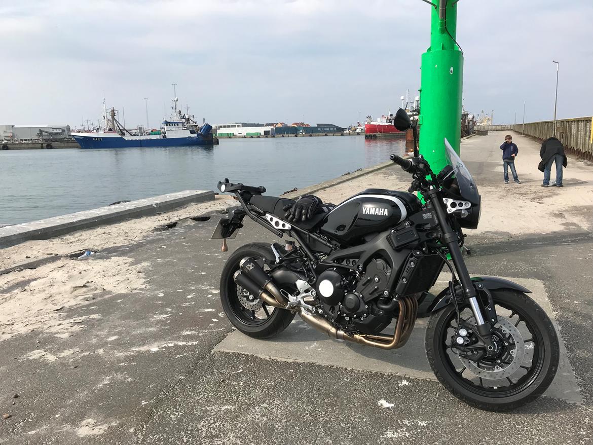 Yamaha XSR 900 SOLGT billede 25