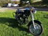 Dorton Kinroad dorton xt 250cc 