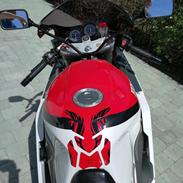 Yamaha FZR1000 Exup