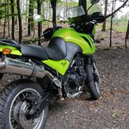 Triumph Tiger 955i