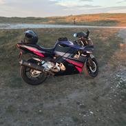 Honda CBR 600 F2
