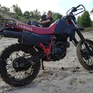 Yamaha XT 600 43f