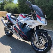 Yamaha FZR 1000 Exup