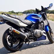 Suzuki GS500