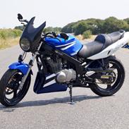Suzuki GS500