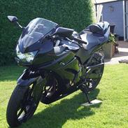 Kawasaki Ninja 250r