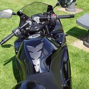 Kawasaki Ninja 250r