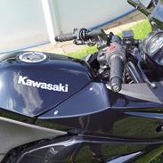 Kawasaki Ninja 250r