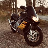 Honda CBR 600 F