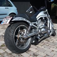 Harley Davidson v-rod vrcsa 100års jubilæums