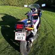 Yamaha FZR 600 R Genesis