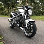 Suzuki SV1000N
