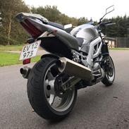 Suzuki SV1000N