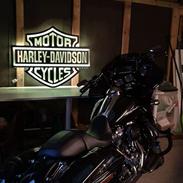 Harley Davidson Road Glide Special 